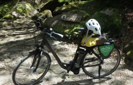 Gerês’ Roman Road by E-Bike Tour