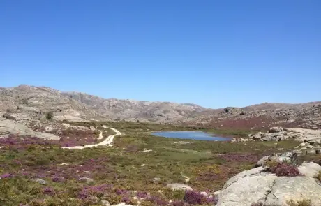 3 Gerês Mountain Bike Tour (eMTB Touring)