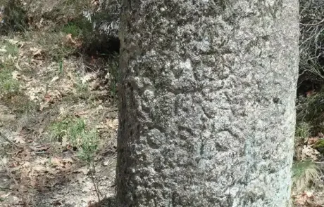 Gerês’ Roman Road by E-Bike Tour