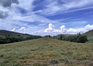 Santa Isabel do Monte