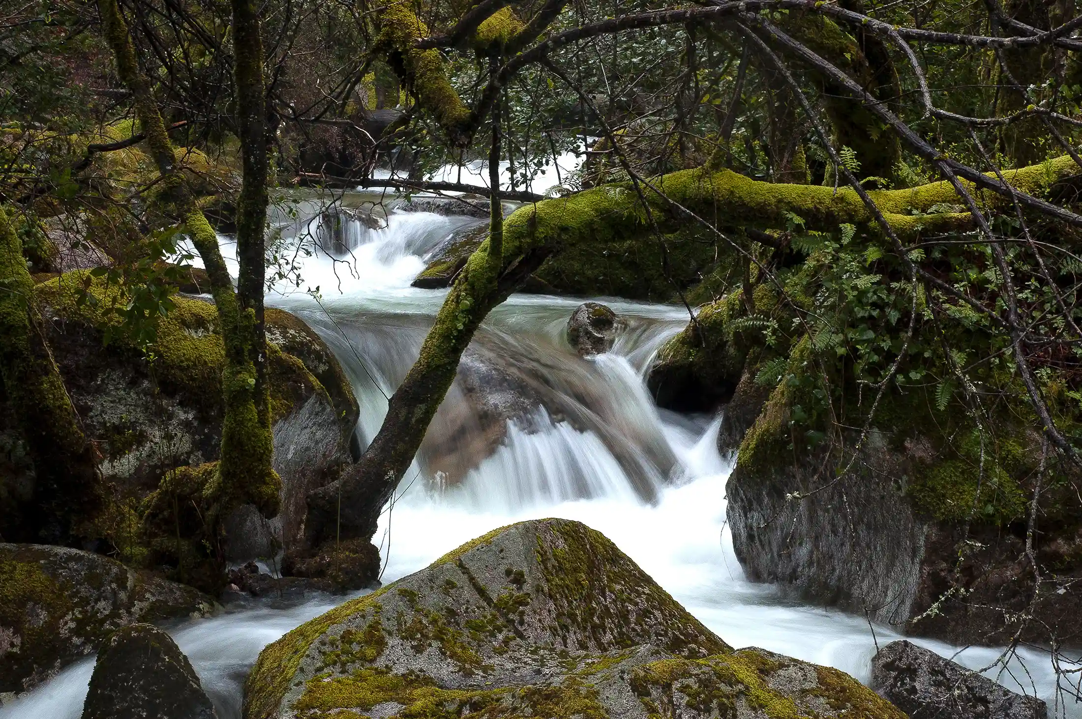 Gerês Tour