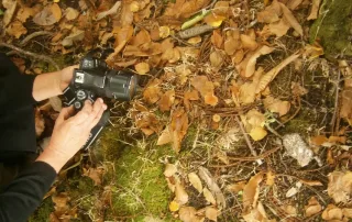 Tailor-made | Corporate