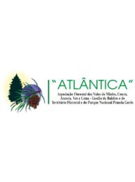 atlayntica_logo_84304001865f4348d47fcf