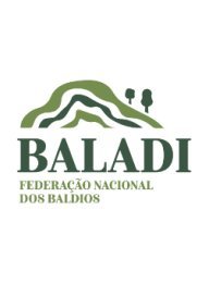 baladi_logo_85753483765f433b5a7ff1